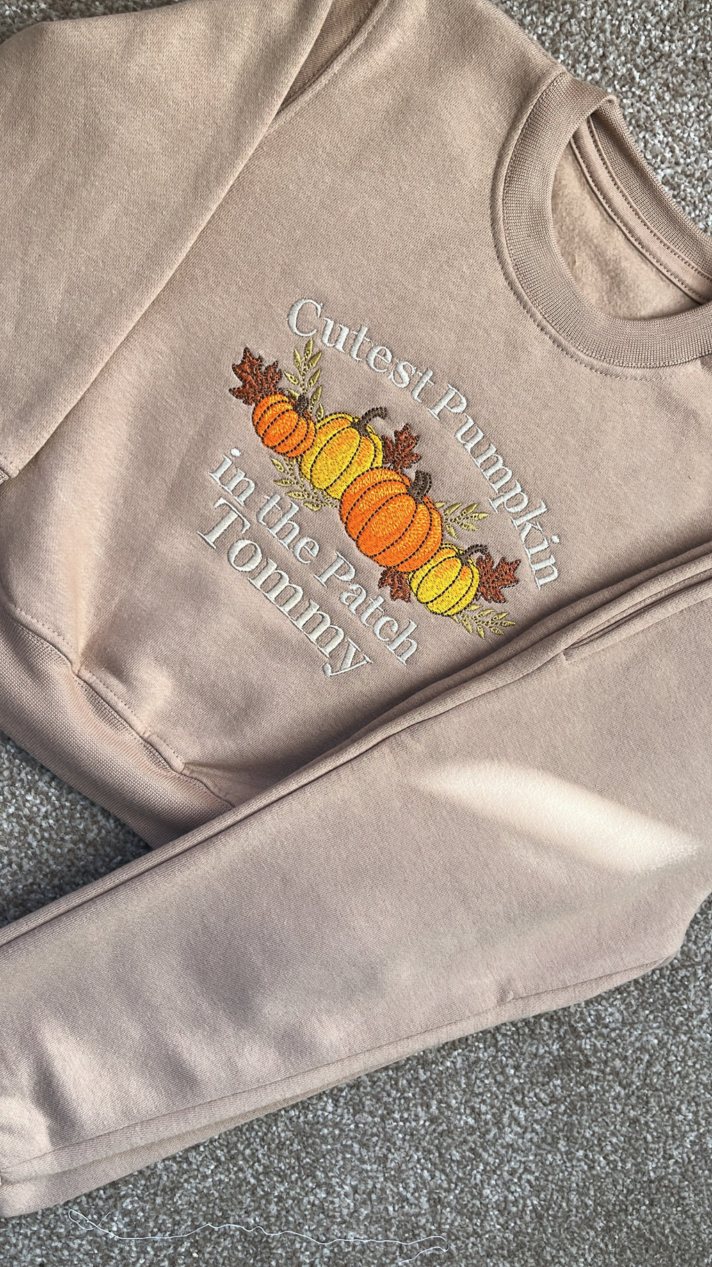 Cutest Pumpkin in the Patch