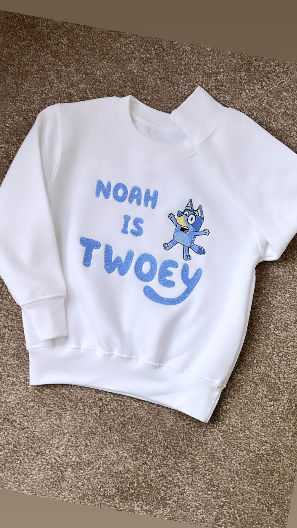 Bluey Birthday Sweatshirt