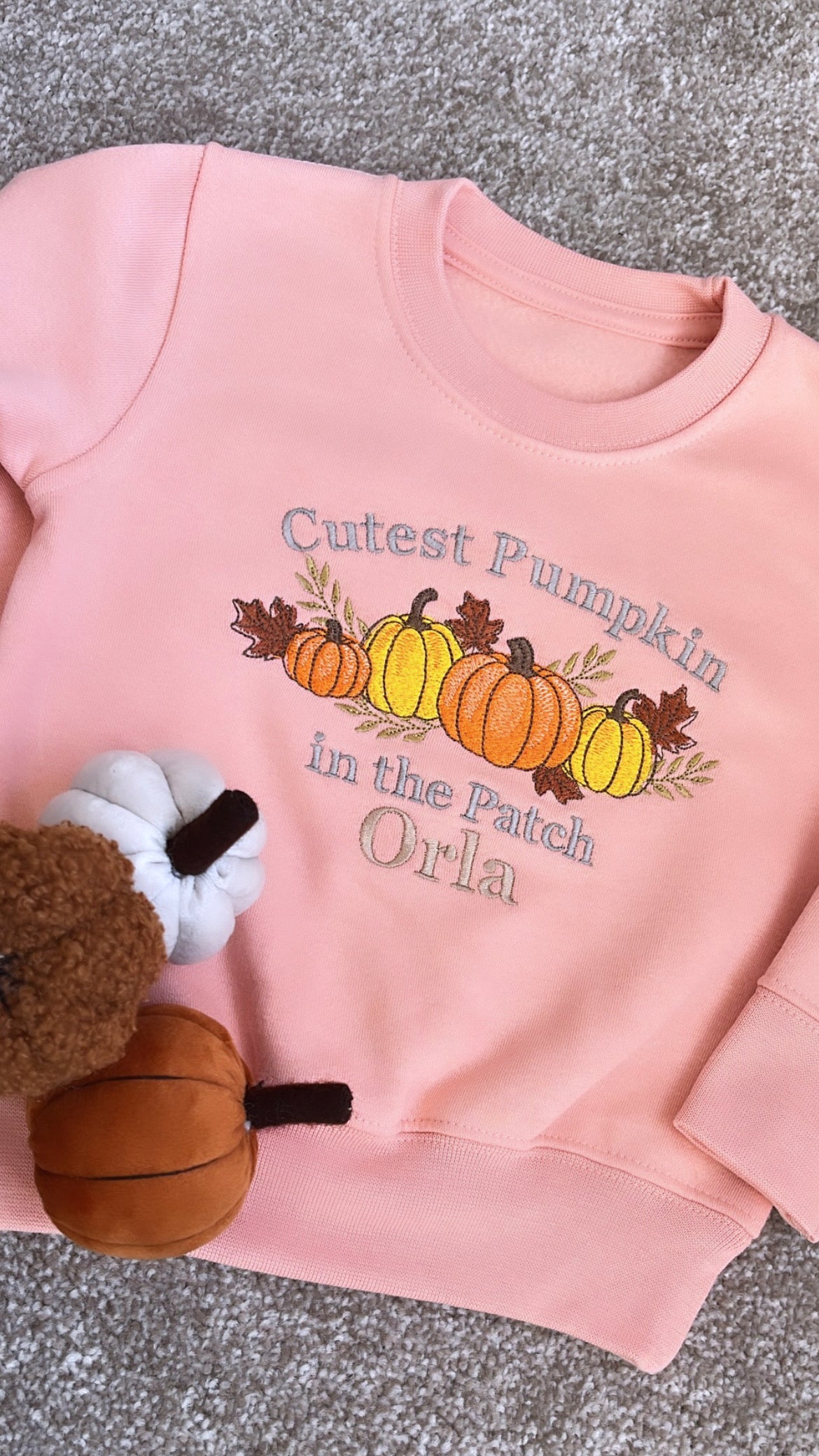 Cutest Pumpkin in the Patch