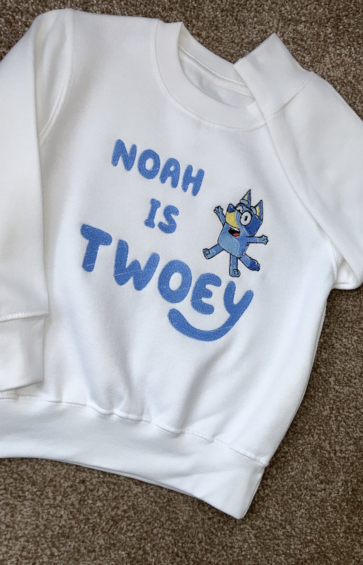 Bluey Birthday Sweatshirt